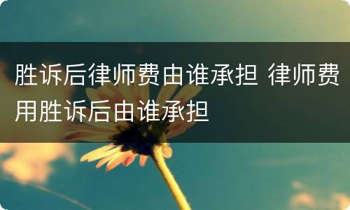 胜诉后律师费由谁承担 律师费用胜诉后由谁承担