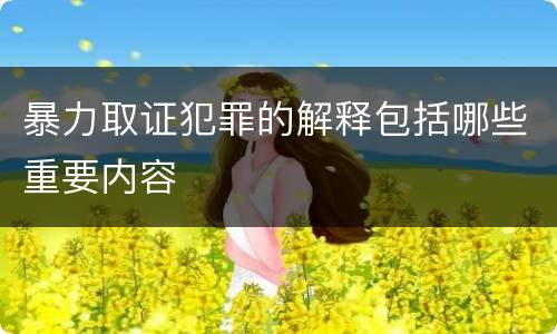 暴力取证犯罪的解释包括哪些重要内容