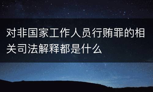 对非国家工作人员行贿罪的相关司法解释都是什么