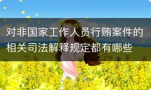 对非国家工作人员行贿案件的相关司法解释规定都有哪些