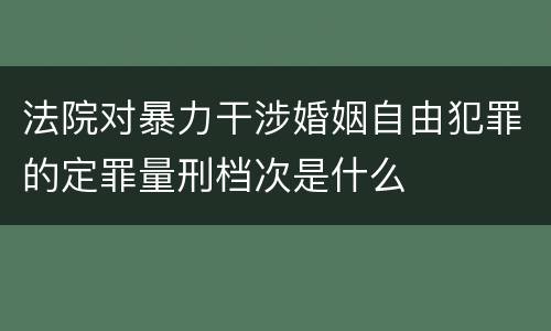 法院对暴力干涉婚姻自由犯罪的定罪量刑档次是什么