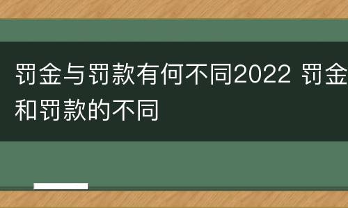 罚金与罚款有何不同2022 罚金和罚款的不同