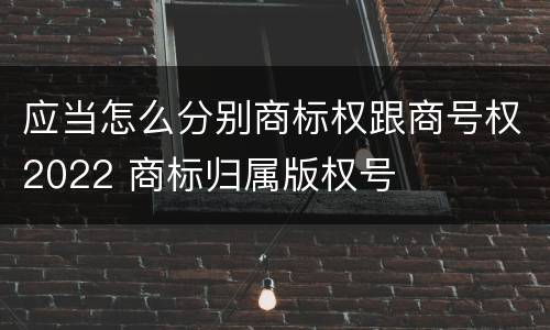 应当怎么分别商标权跟商号权2022 商标归属版权号