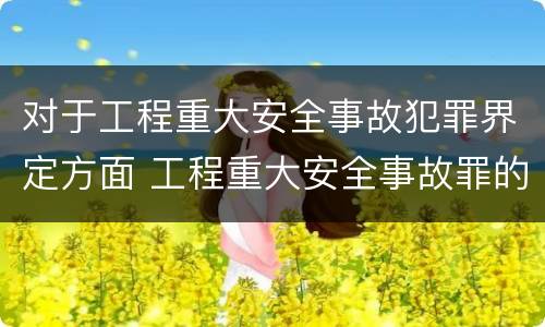 对于工程重大安全事故犯罪界定方面 工程重大安全事故罪的说法
