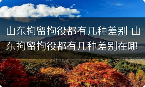 山东拘留拘役都有几种差别 山东拘留拘役都有几种差别在哪
