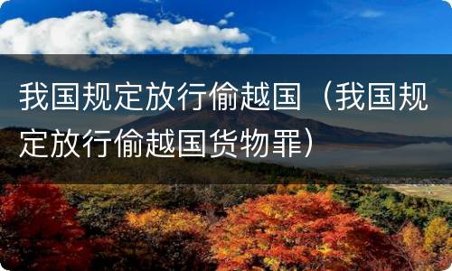 我国规定放行偷越国（我国规定放行偷越国货物罪）