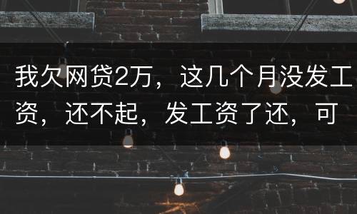 我欠网贷2万，这几个月没发工资，还不起，发工资了还，可以吗