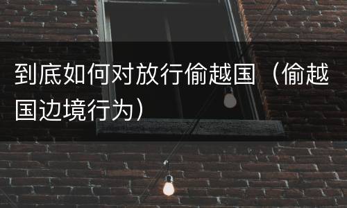 到底如何对放行偷越国（偷越国边境行为）