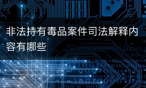 非法持有毒品案件司法解释内容有哪些