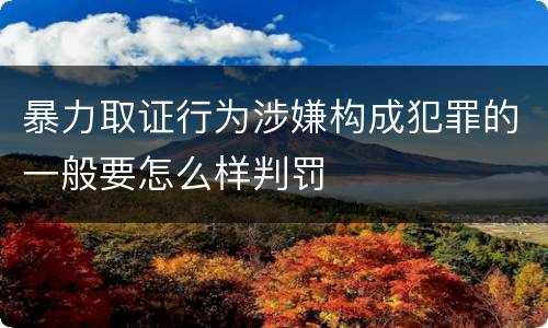 暴力取证行为涉嫌构成犯罪的一般要怎么样判罚