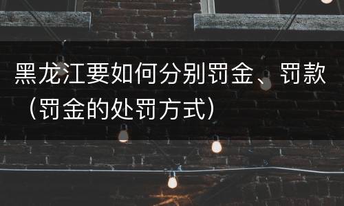 黑龙江要如何分别罚金、罚款（罚金的处罚方式）