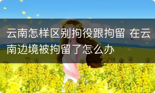 云南怎样区别拘役跟拘留 在云南边境被拘留了怎么办