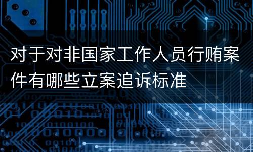 对于对非国家工作人员行贿案件有哪些立案追诉标准