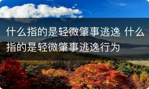 什么指的是轻微肇事逃逸 什么指的是轻微肇事逃逸行为