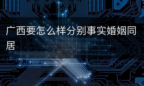 广西要怎么样分别事实婚姻同居