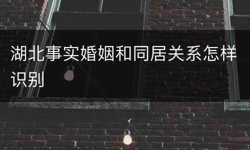 湖北事实婚姻和同居关系怎样识别