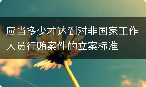 应当多少才达到对非国家工作人员行贿案件的立案标准