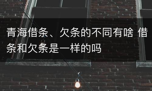 青海借条、欠条的不同有啥 借条和欠条是一样的吗