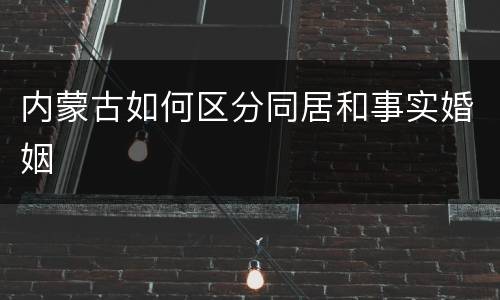 内蒙古如何区分同居和事实婚姻