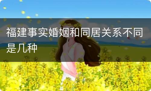 福建事实婚姻和同居关系不同是几种