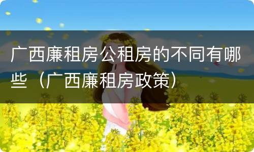 广西廉租房公租房的不同有哪些（广西廉租房政策）