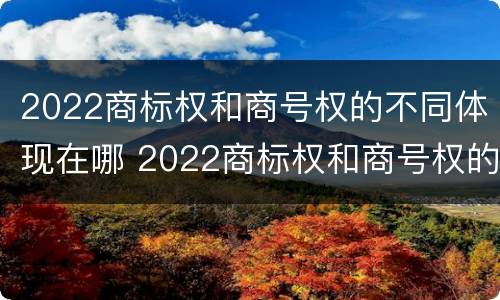 2022商标权和商号权的不同体现在哪 2022商标权和商号权的不同体现在哪方面