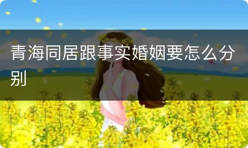 青海同居跟事实婚姻要怎么分别