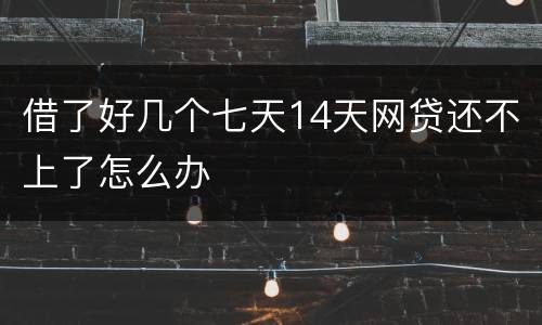 借了好几个七天14天网贷还不上了怎么办