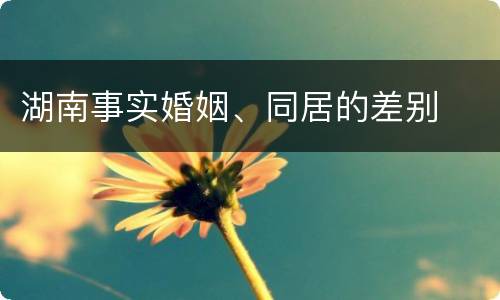湖南事实婚姻、同居的差别