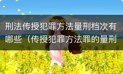 刑法传授犯罪方法量刑档次有哪些（传授犯罪方法罪的量刑）