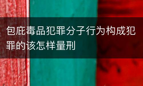 包庇毒品犯罪分子行为构成犯罪的该怎样量刑