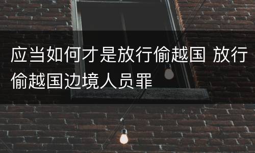 应当如何才是放行偷越国 放行偷越国边境人员罪