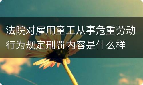 法院对雇用童工从事危重劳动行为规定刑罚内容是什么样