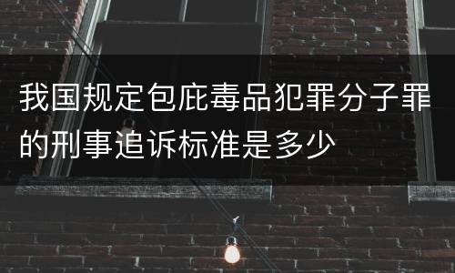 我国规定包庇毒品犯罪分子罪的刑事追诉标准是多少