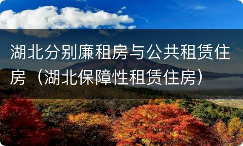 湖北分别廉租房与公共租赁住房（湖北保障性租赁住房）