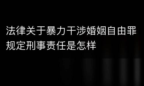 法律关于暴力干涉婚姻自由罪规定刑事责任是怎样