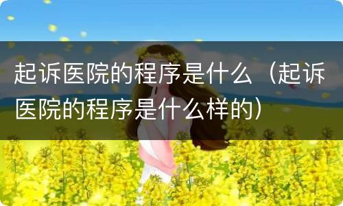 起诉医院的程序是什么（起诉医院的程序是什么样的）