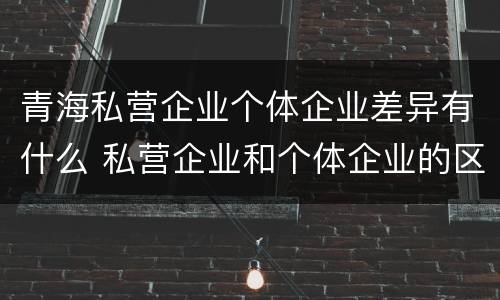 青海私营企业个体企业差异有什么 私营企业和个体企业的区别