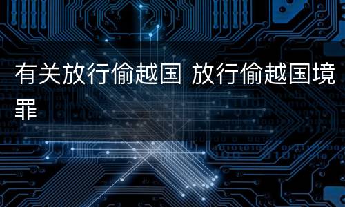 有关放行偷越国 放行偷越国境罪