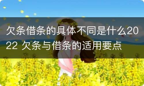 欠条借条的具体不同是什么2022 欠条与借条的适用要点
