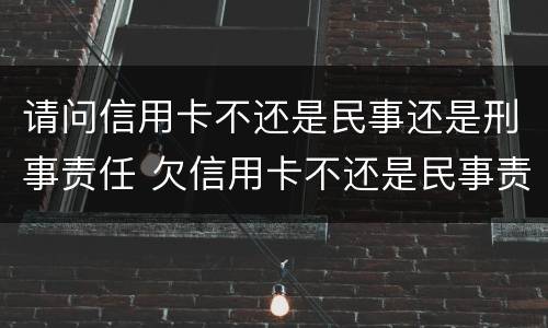 请问信用卡不还是民事还是刑事责任 欠信用卡不还是民事责任还是刑事