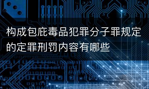 构成包庇毒品犯罪分子罪规定的定罪刑罚内容有哪些