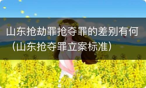 山东抢劫罪抢夺罪的差别有何（山东抢夺罪立案标准）