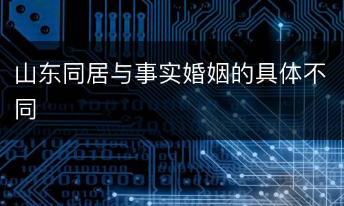 山东同居与事实婚姻的具体不同