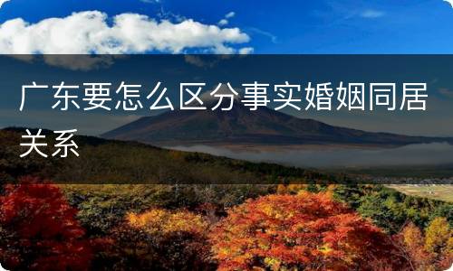 广东要怎么区分事实婚姻同居关系