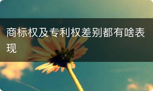 商标权及专利权差别都有啥表现