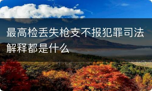 最高检丢失枪支不报犯罪司法解释都是什么