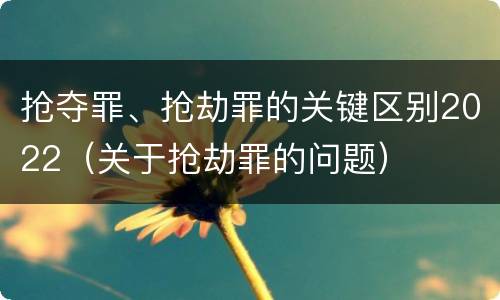 抢夺罪、抢劫罪的关键区别2022（关于抢劫罪的问题）