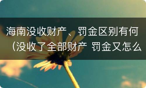 海南没收财产、罚金区别有何（没收了全部财产 罚金又怎么办）