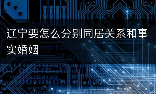 辽宁要怎么分别同居关系和事实婚姻